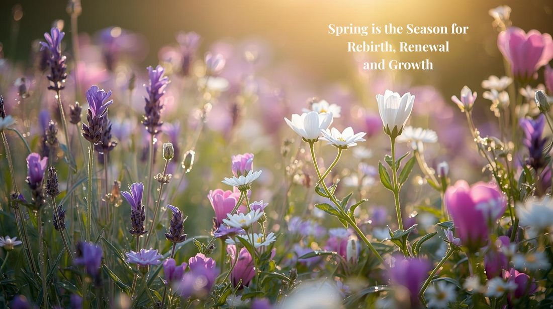 Spring is the season for rebirth, renewal and growth. Using self-care aromatherapy for a Spring Ritual