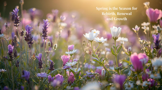Spring is the season for rebirth, renewal and growth. Using self-care aromatherapy for a Spring Ritual